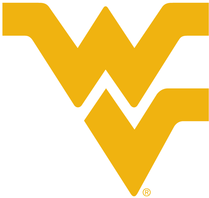 West Virginia Mountaineers 1980-Pres Alternate Logo v4 diy DTF decal sticker